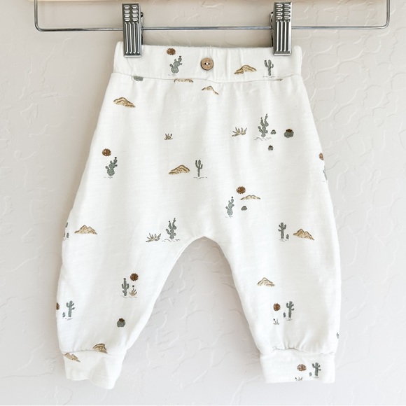 Rylee + Cru Other - Rylee + Cru Catcus Desert Print Cotton Pants - Size: 0-3 Months